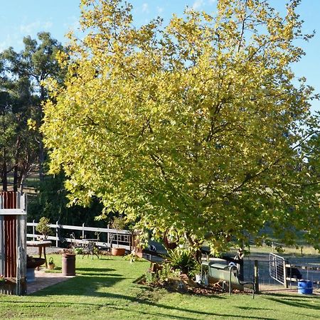 The Stables Hotel Wandin North Exterior photo