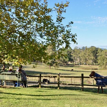 The Stables Hotel Wandin North Exterior photo
