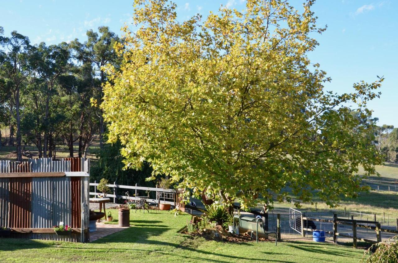 The Stables Hotel Wandin North Exterior photo
