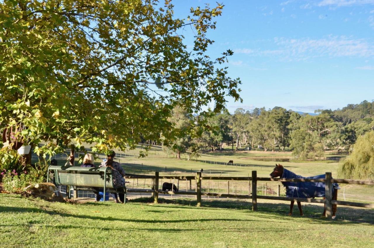 The Stables Hotel Wandin North Exterior photo
