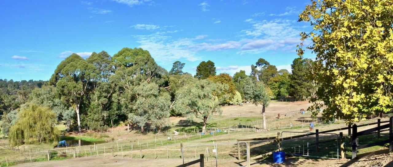 The Stables Hotel Wandin North Exterior photo